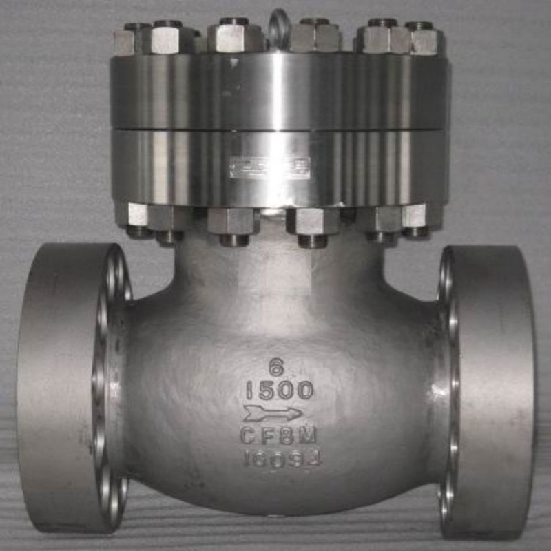 6-900# piston check valves