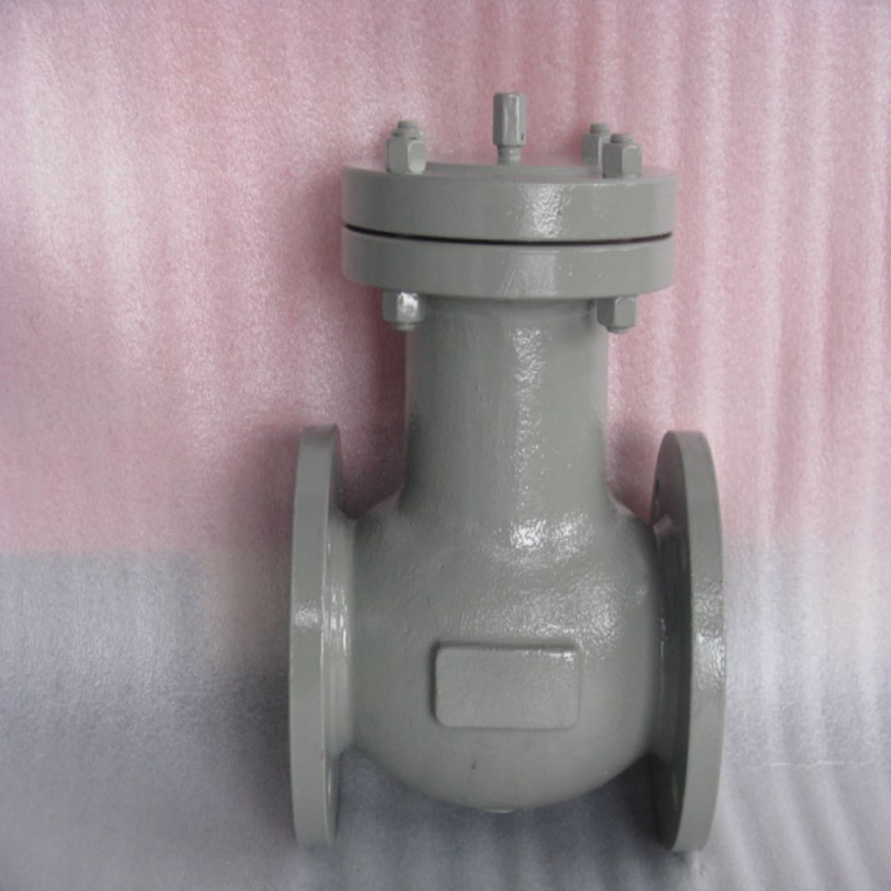 Piston Check Valve