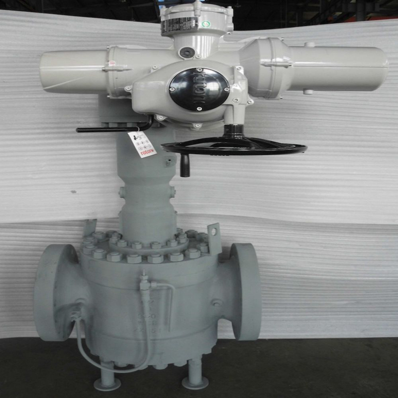 10-900 DIB plug valves