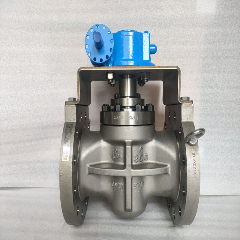 Sleeve Plug Valve