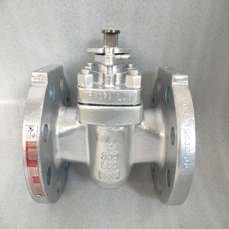 Sleeve Plug Valve