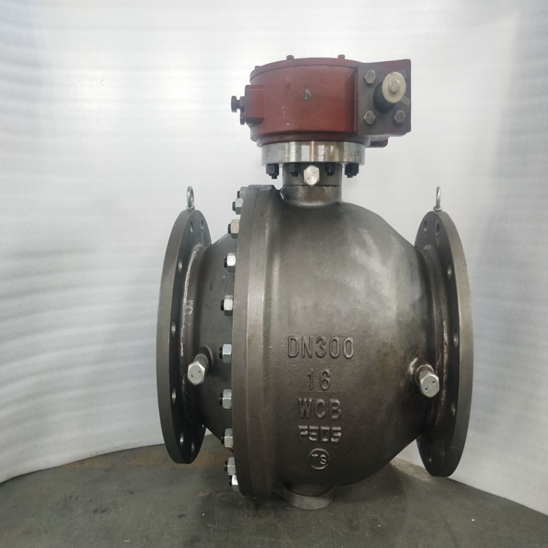 Trunnion mounted ball valve